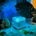 AuroraGlow Lampa